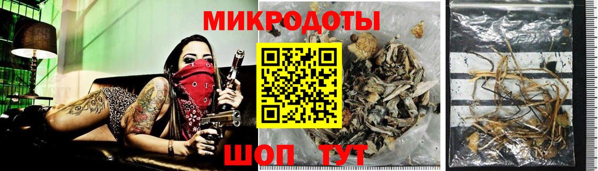 Галлюциногенные грибы прущие грибы Керчь