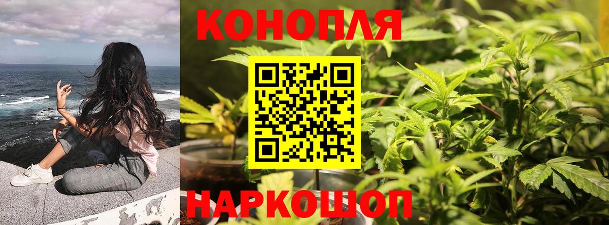 МАРИХУАНА ГИДРОПОН Керчь